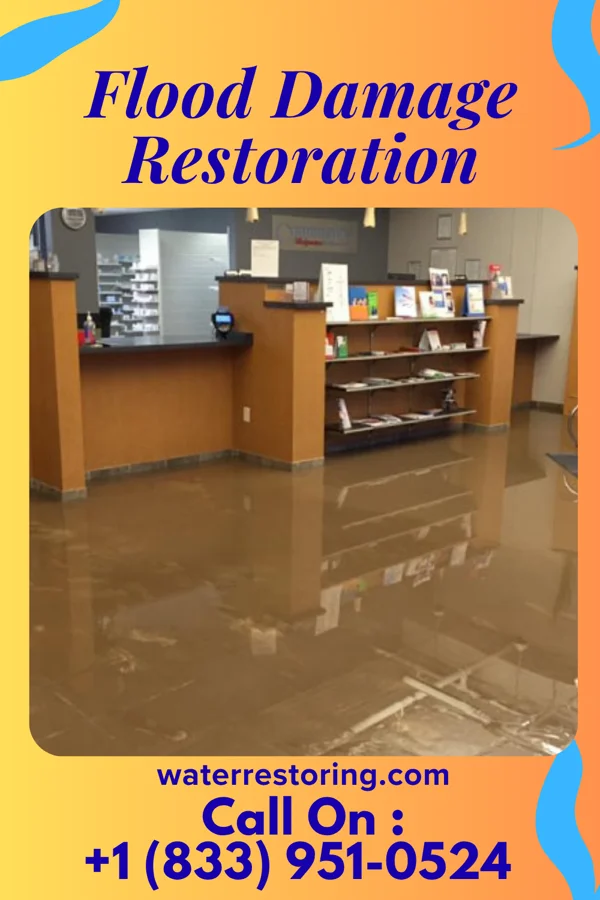 Flood Damage Restoration in Holstein, NE
