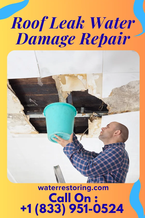 Roof Leak Water Damage Repair in Holstein, NE
