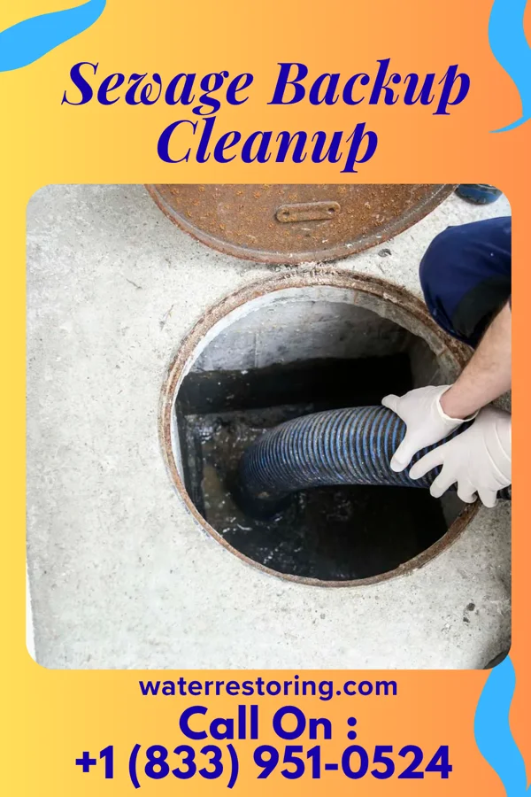 Sewage Backup Cleanup in Holstein, NE