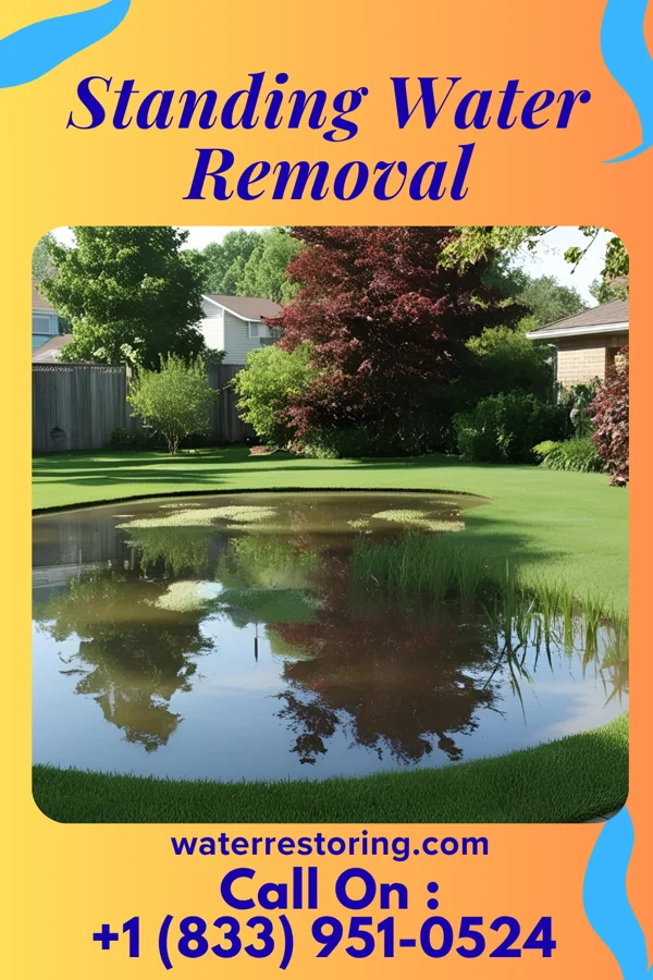 Standing Water Removal in Holstein, NE